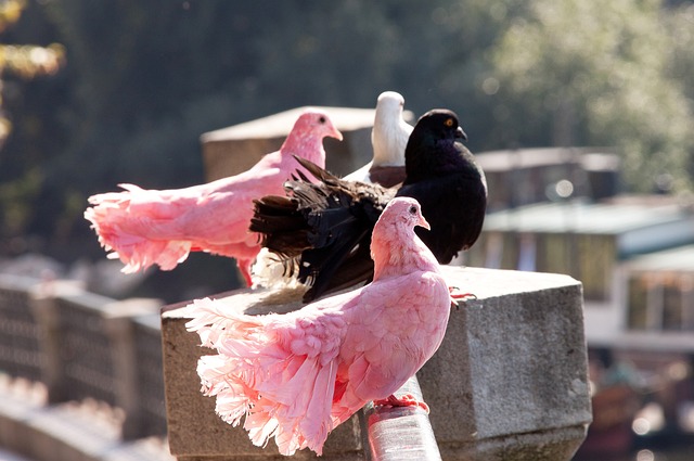 韩国演员朴叙俊：孙兴慜在热刺的征程让我度过了一段美好时光