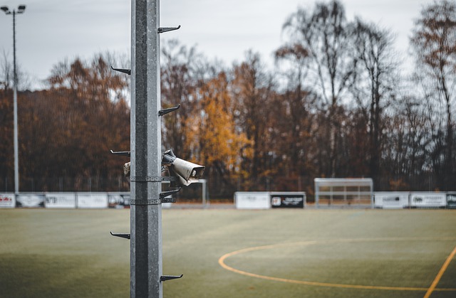 洛里：温哥华的人造草皮质量太差，在这样的场地比赛不可接受