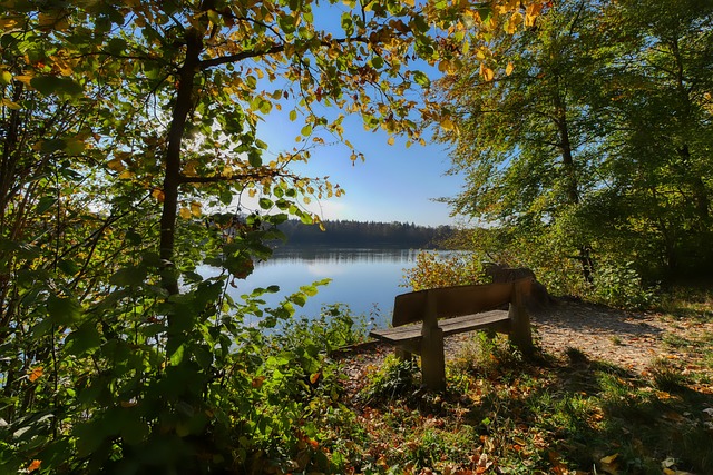 历史渊源 历史渊源