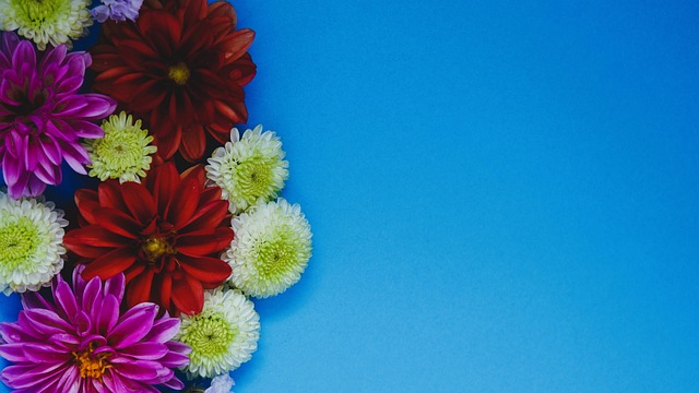 在迈阿密公 在迈阿密公