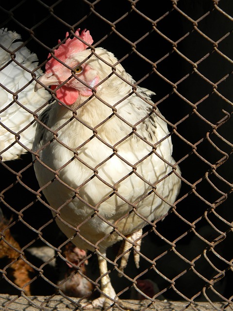 和对队友支 和对队友支