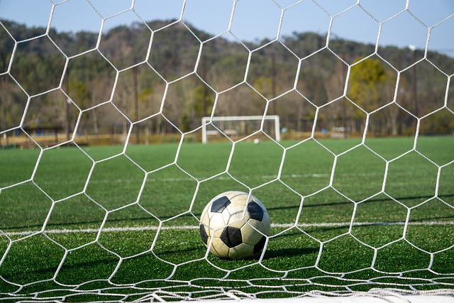 的庆祝动作 的庆祝动作