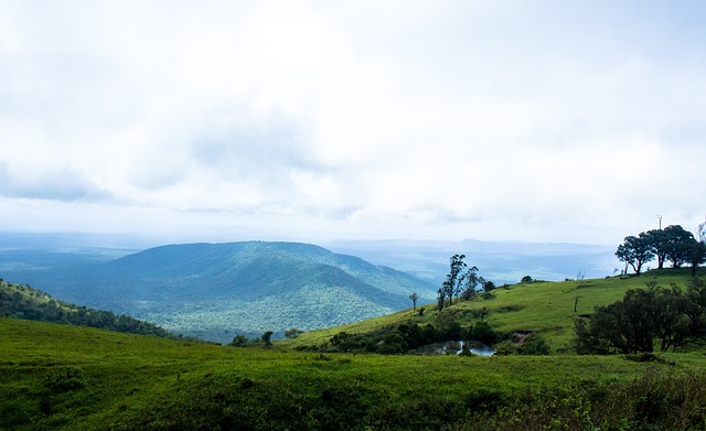 旅因内部矛 旅因内部矛