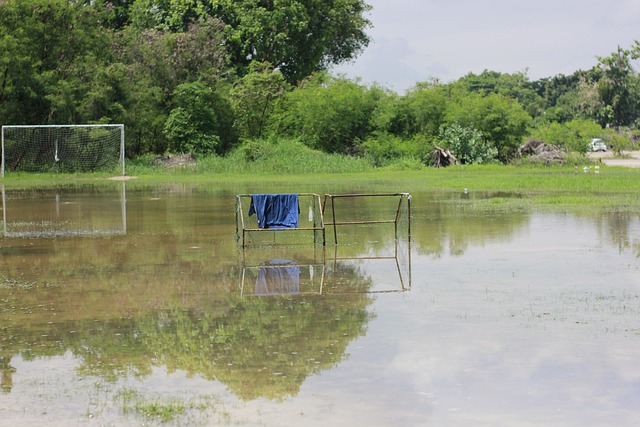 力与策略的 力与策略的