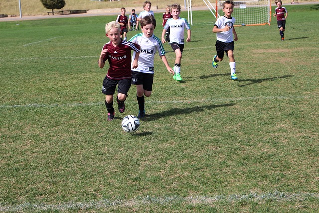 雪团队在世 雪团队在世