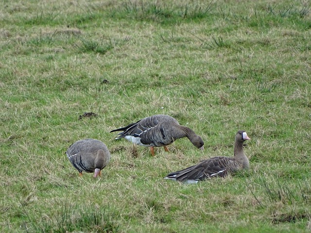 上永不磨灭 上永不磨灭