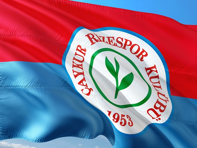 但遺憾未能 但遺憾未能